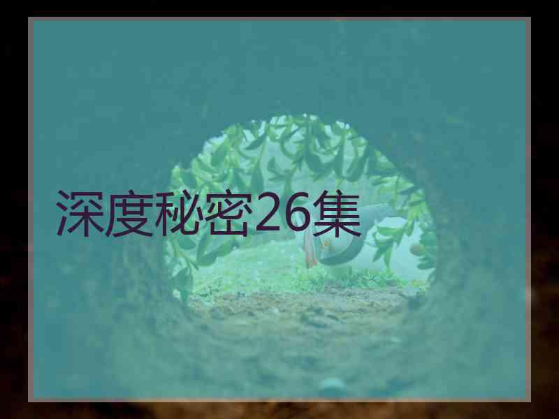 深度秘密26集