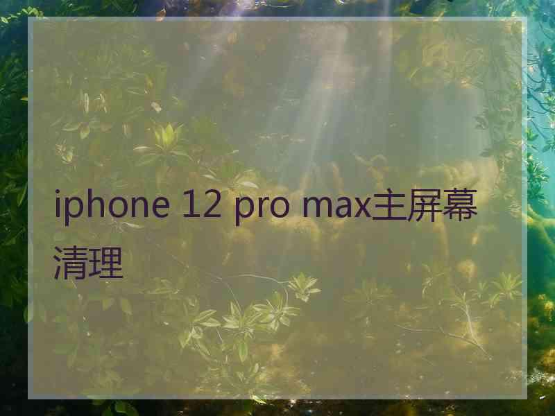 iphone 12 pro max主屏幕清理