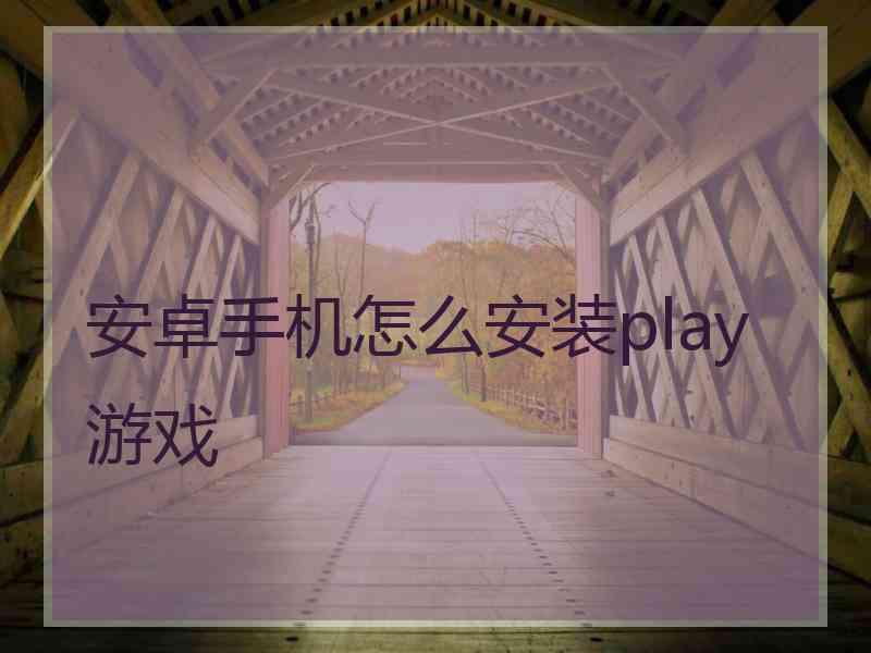 安卓手机怎么安装play游戏