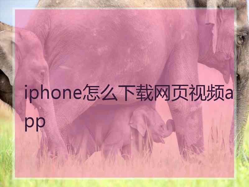 iphone怎么下载网页视频app