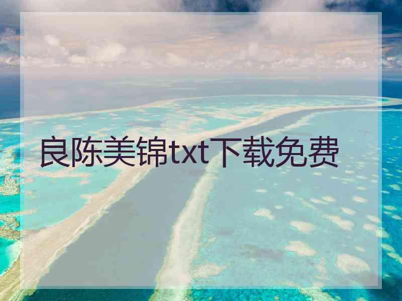 良陈美锦txt下载免费