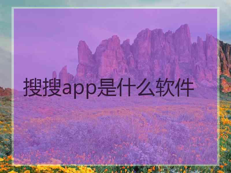 搜搜app是什么软件