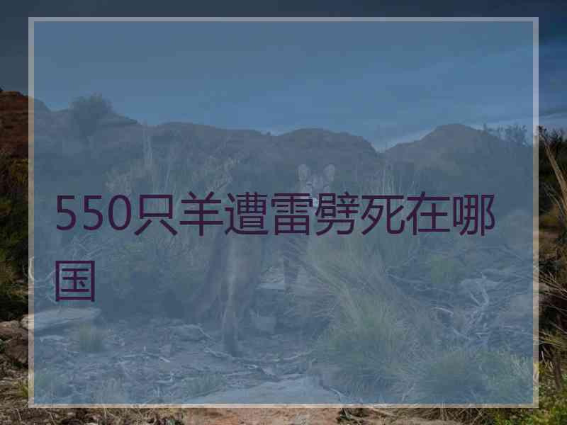 550只羊遭雷劈死在哪国