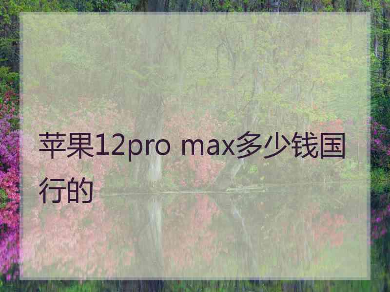 苹果12pro max多少钱国行的