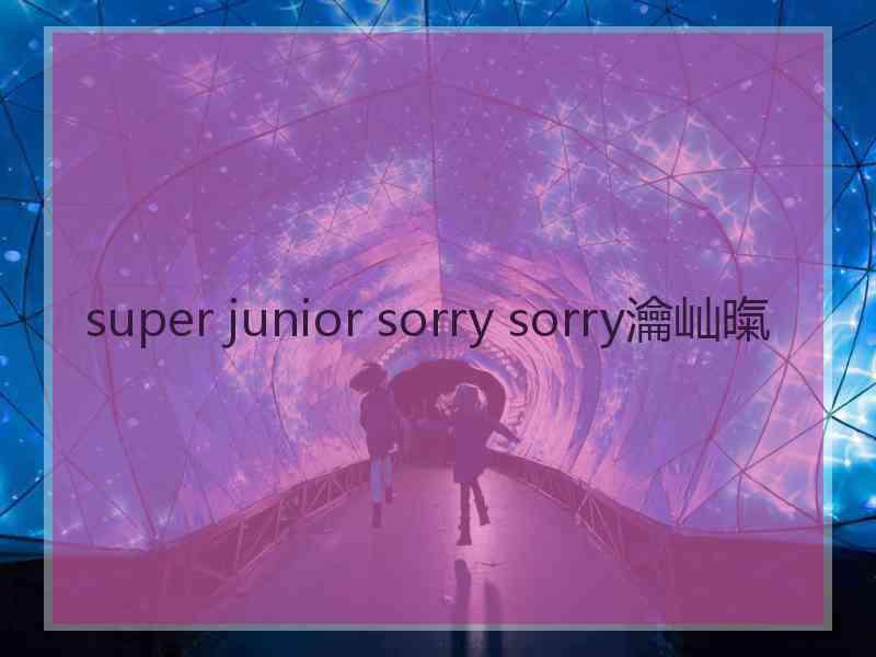 super junior sorry sorry瀹屾暣