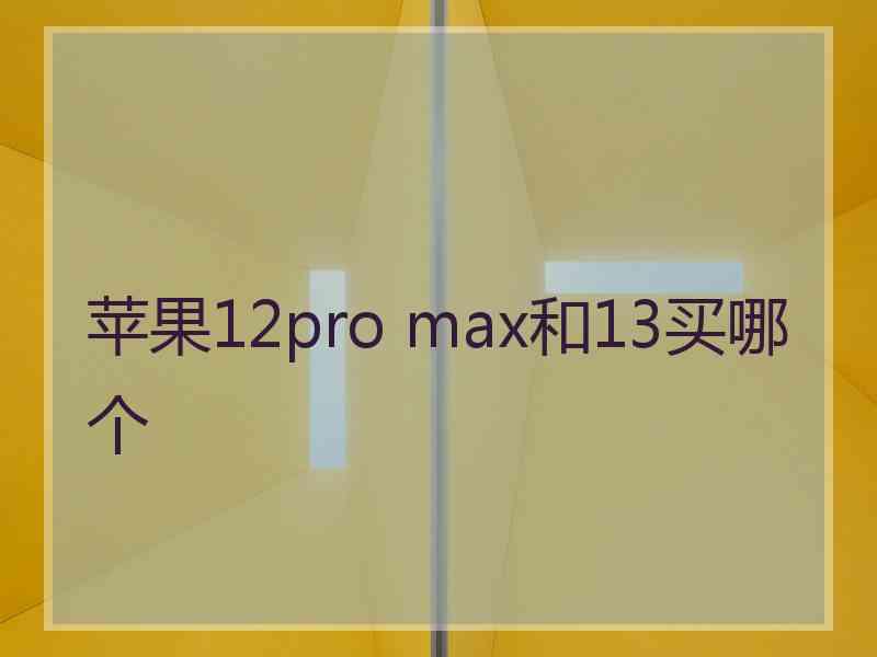 苹果12pro max和13买哪个