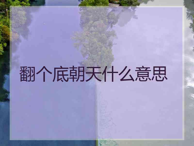 翻个底朝天什么意思