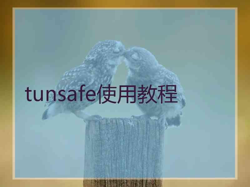 tunsafe使用教程