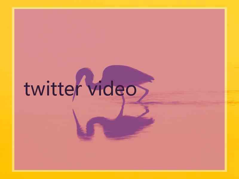 twitter video