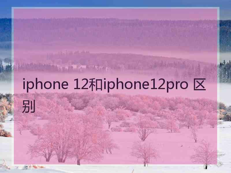 iphone 12和iphone12pro 区别