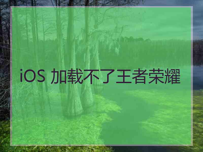 iOS 加载不了王者荣耀