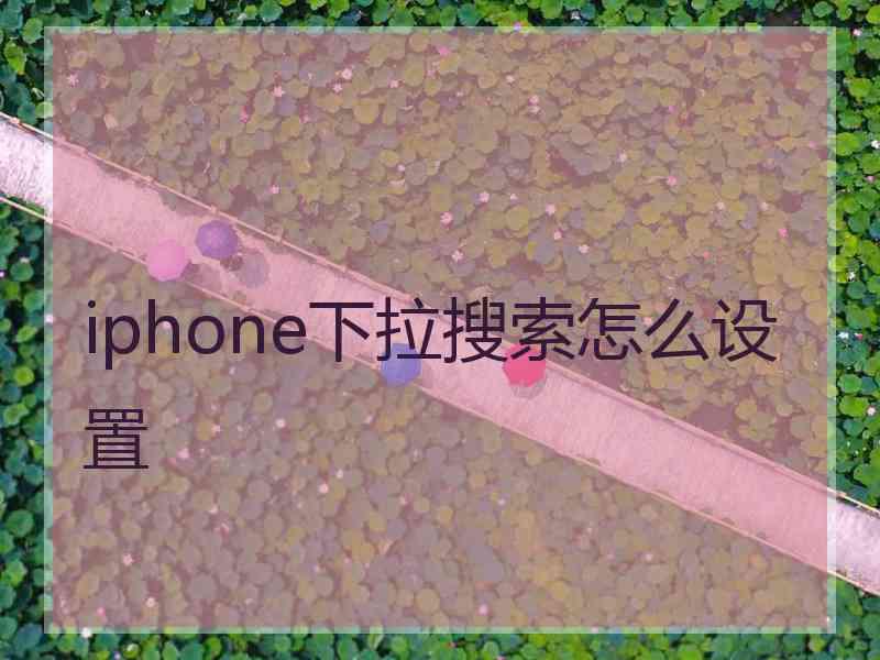 iphone下拉搜索怎么设置