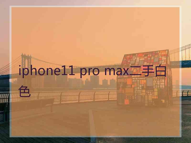 iphone11 pro max二手白色