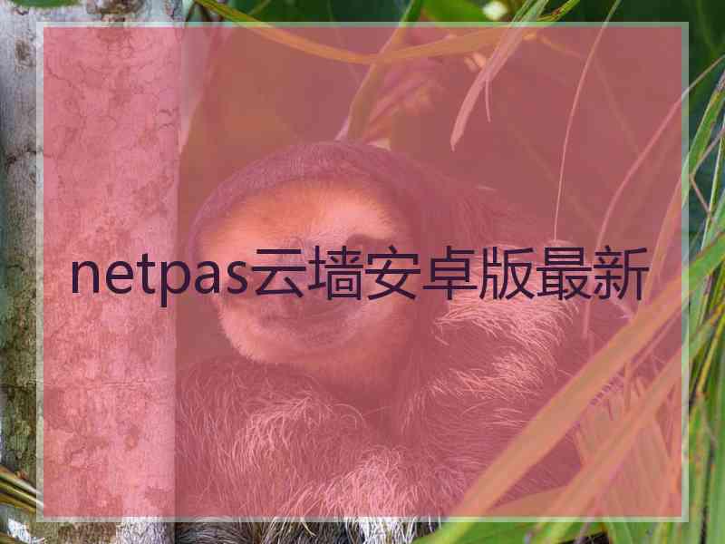 netpas云墙安卓版最新