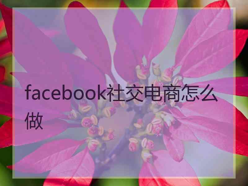 facebook社交电商怎么做