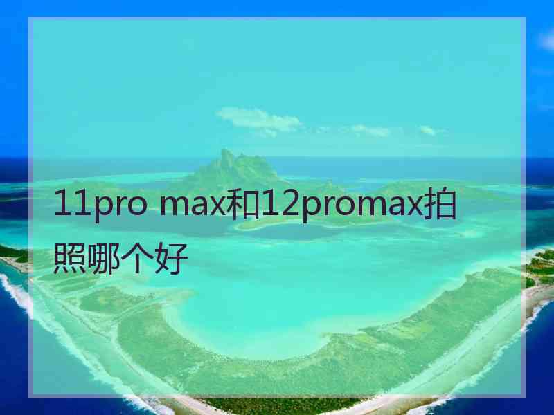 11pro max和12promax拍照哪个好