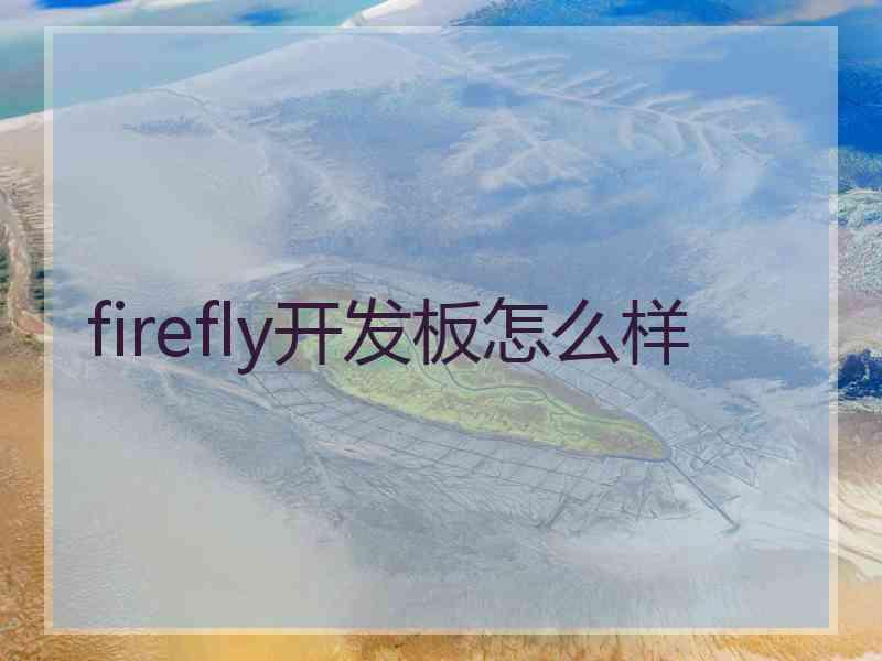 firefly开发板怎么样