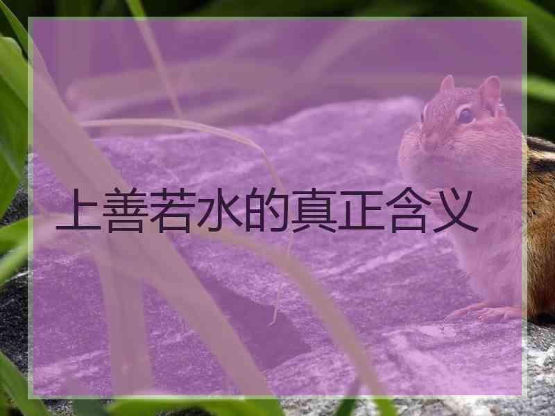 上善若水的真正含义