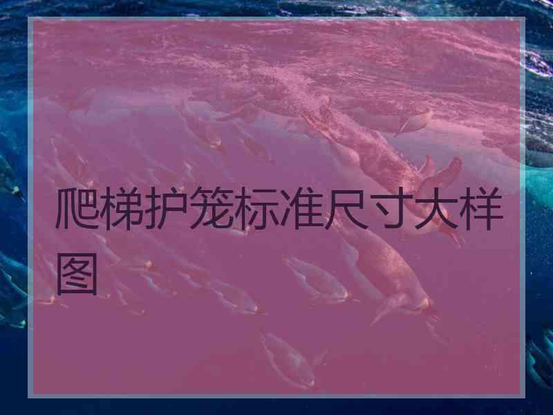 爬梯护笼标准尺寸大样图