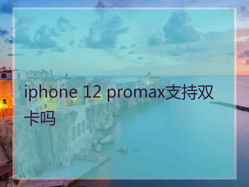 iphone 12 promax支持双卡吗