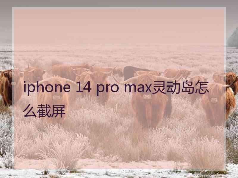 iphone 14 pro max灵动岛怎么截屏