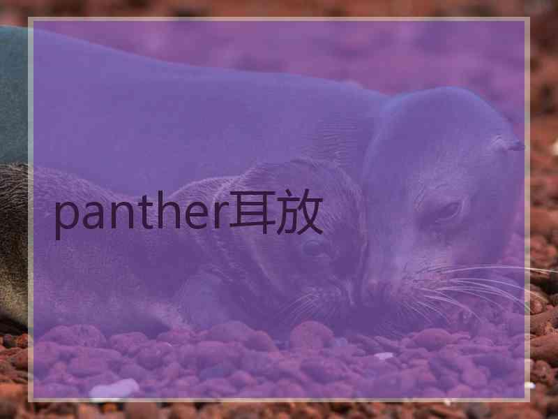 panther耳放