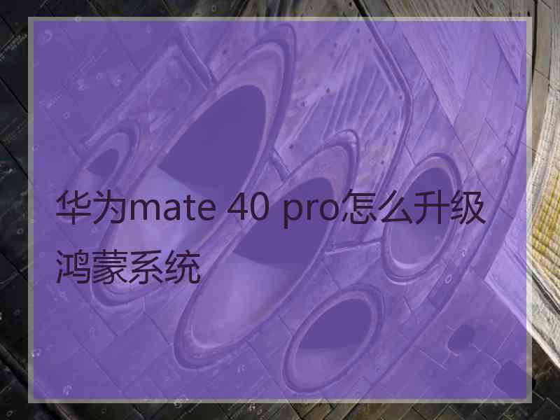 华为mate 40 pro怎么升级鸿蒙系统