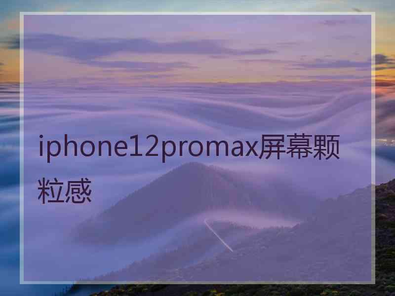 iphone12promax屏幕颗粒感