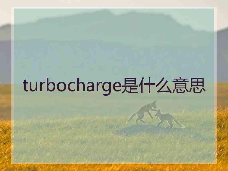 turbocharge是什么意思