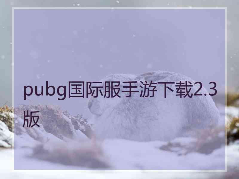 pubg国际服手游下载2.3版