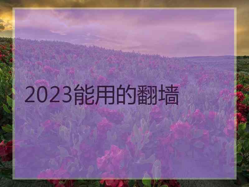 2023能用的翻墙