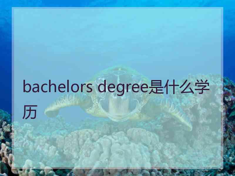 bachelors degree是什么学历