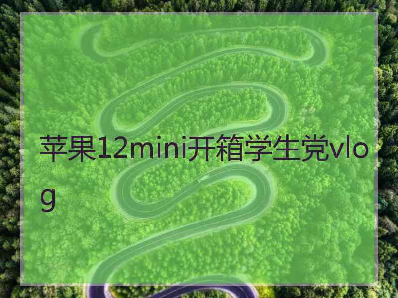 苹果12mini开箱学生党vlog