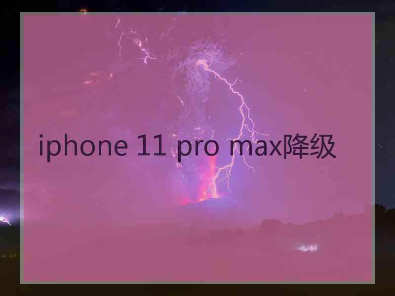 iphone 11 pro max降级