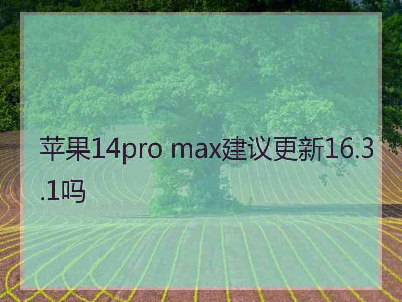 苹果14pro max建议更新16.3.1吗