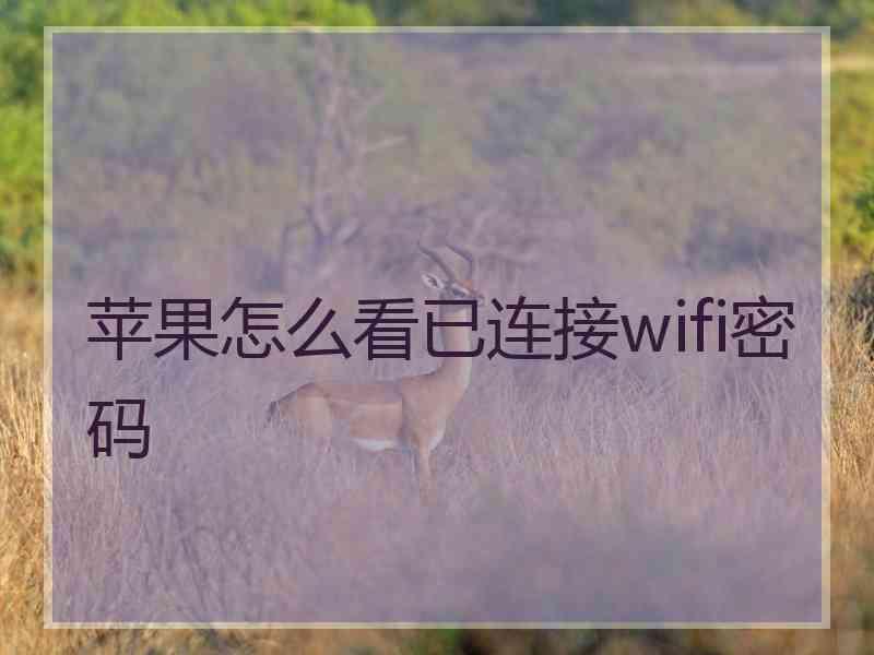 苹果怎么看已连接wifi密码