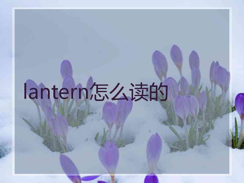 lantern怎么读的