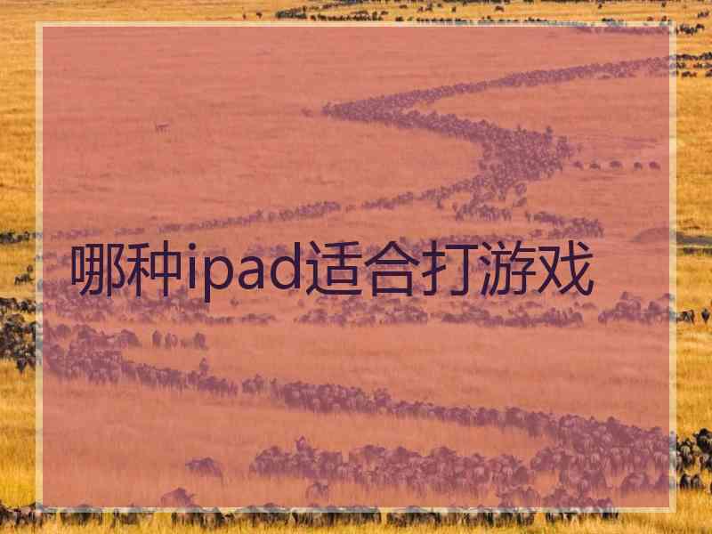 哪种ipad适合打游戏