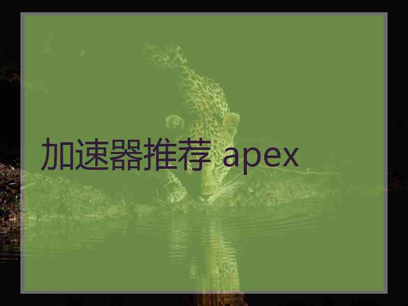 加速器推荐 apex