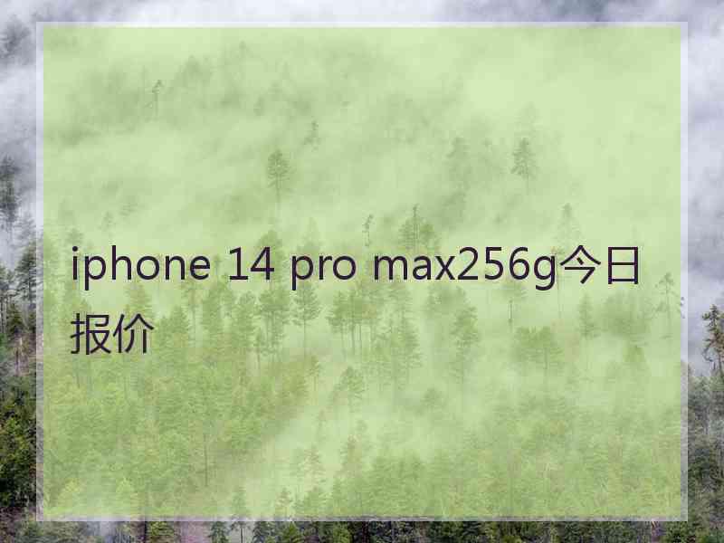 iphone 14 pro max256g今日报价