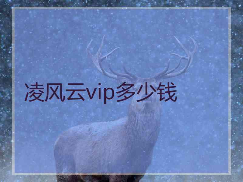 凌风云vip多少钱