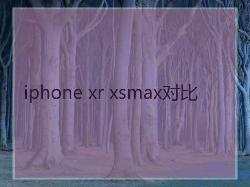 iphone xr xsmax对比