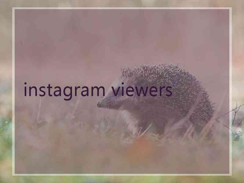 instagram viewers