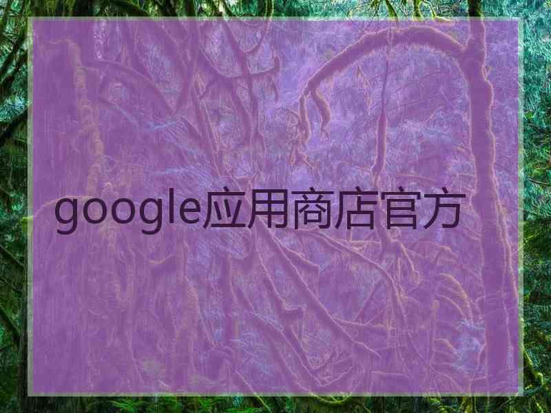 google应用商店官方