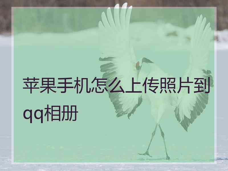 苹果手机怎么上传照片到qq相册