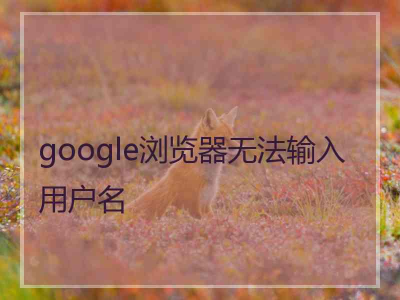 google浏览器无法输入用户名