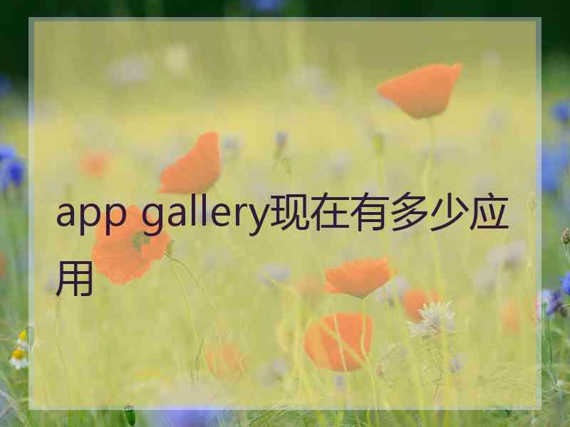 app gallery现在有多少应用