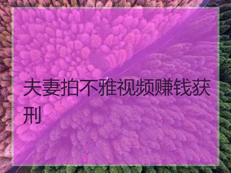 夫妻拍不雅视频赚钱获刑