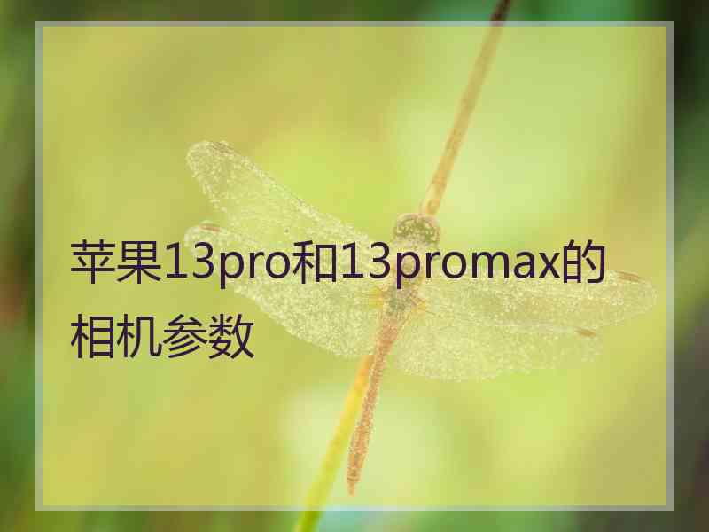 苹果13pro和13promax的相机参数