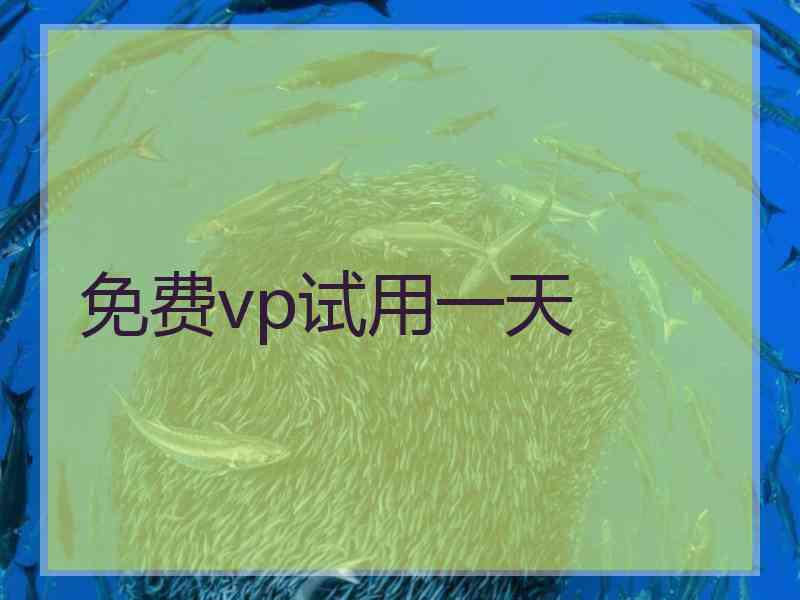 免费vp试用一天